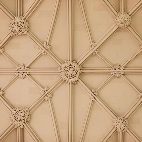Decorative Plaster