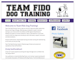 Team Fido Dog Training