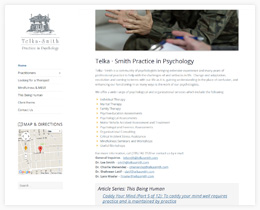 Screenshot for the Telka Smith website